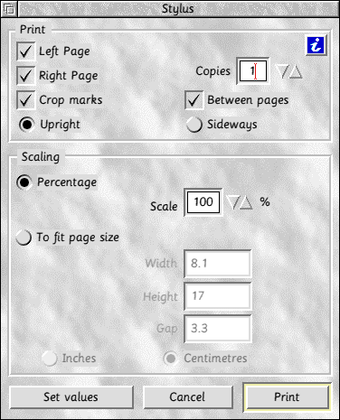 Printing window